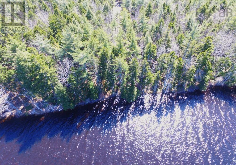 8 Bolivar Road, Waterloo, Nova Scotia  B4V 8M5 - Photo 14 - 202405942