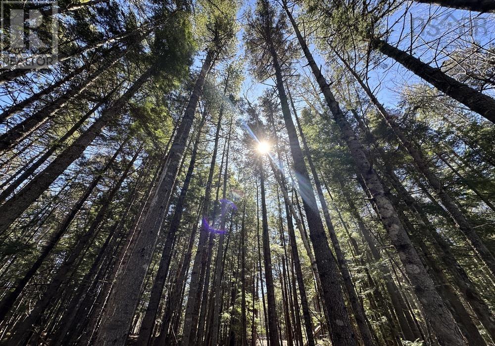 8 Bolivar Road, Waterloo, Nova Scotia  B4V 8M5 - Photo 5 - 202405942