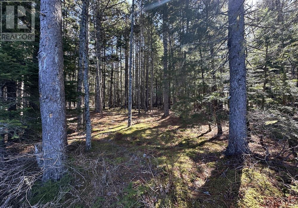 8 Bolivar Road, Waterloo, Nova Scotia  B4V 8M5 - Photo 6 - 202405942