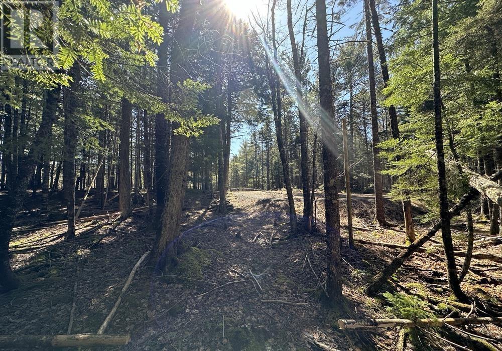 8 Bolivar Road, Waterloo, Nova Scotia  B4V 8M5 - Photo 7 - 202405942