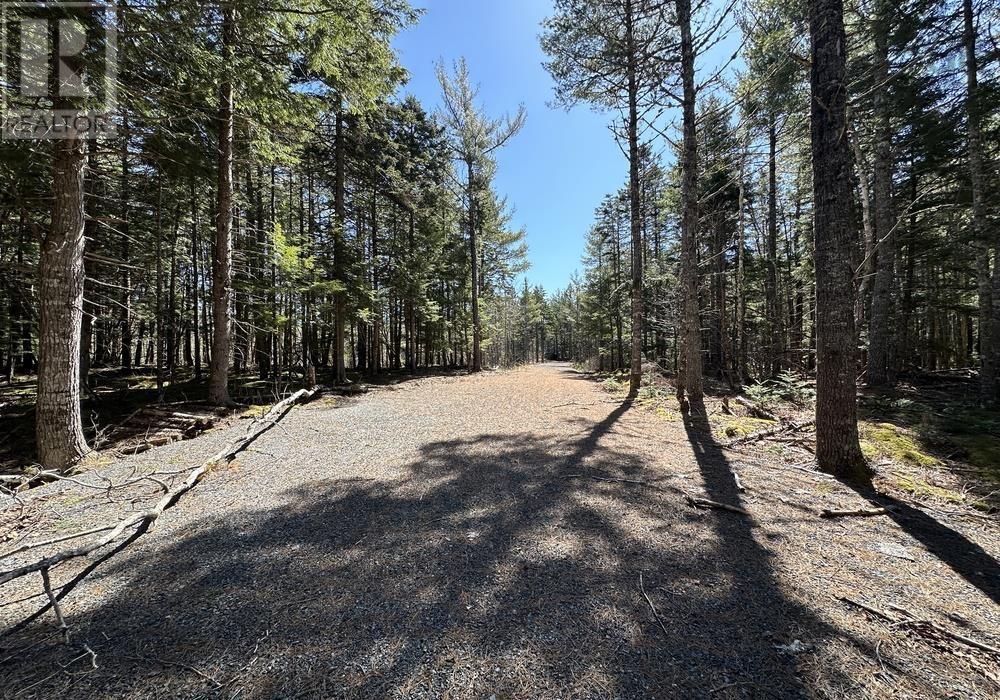 8 Bolivar Road, Waterloo, Nova Scotia  B4V 8M5 - Photo 8 - 202405942