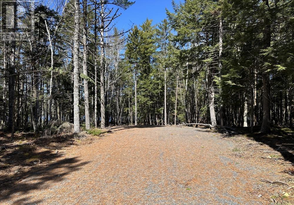 8 Bolivar Road, Waterloo, Nova Scotia  B4V 8M5 - Photo 9 - 202405942