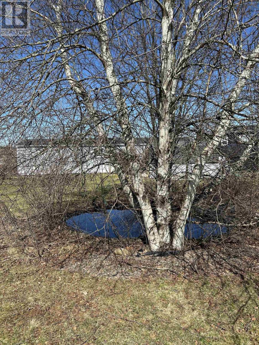 1 Benjamin Drive, Bible Hill, Nova Scotia  B2N 6L6 - Photo 14 - 202405941