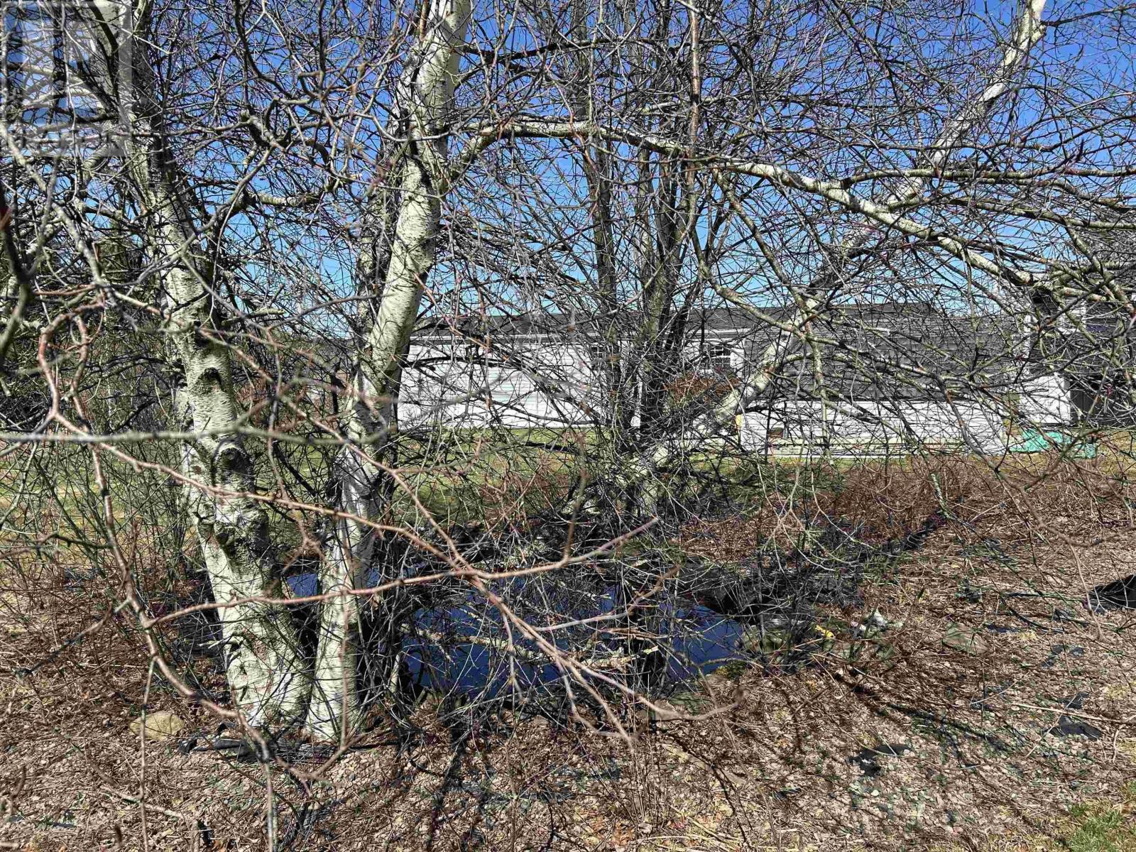 1 Benjamin Drive, Bible Hill, Nova Scotia  B2N 6L6 - Photo 15 - 202405941