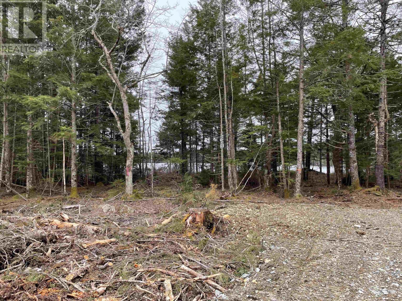 Lot Huber Road, Pid#60301066, Camperdown, Nova Scotia  B4V 6T6 - Photo 19 - 202405945