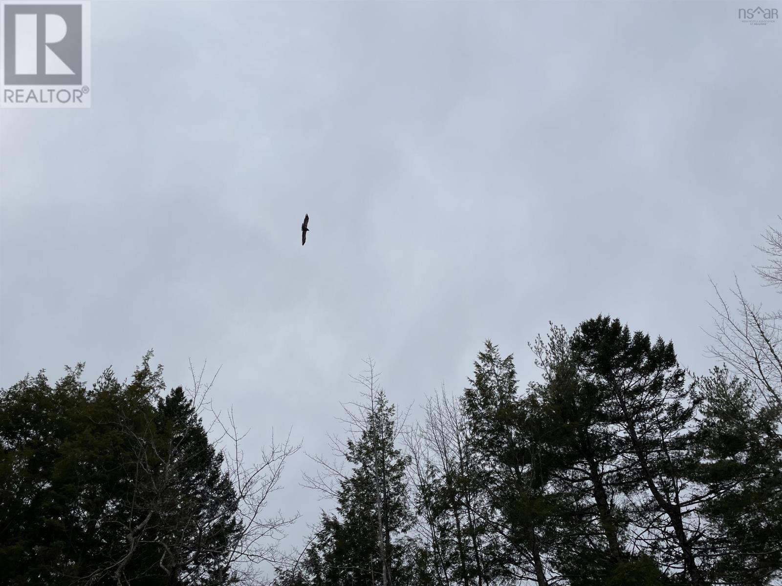 Lot Huber Road, Pid#60301066, Camperdown, Nova Scotia  B4V 6T6 - Photo 20 - 202405945