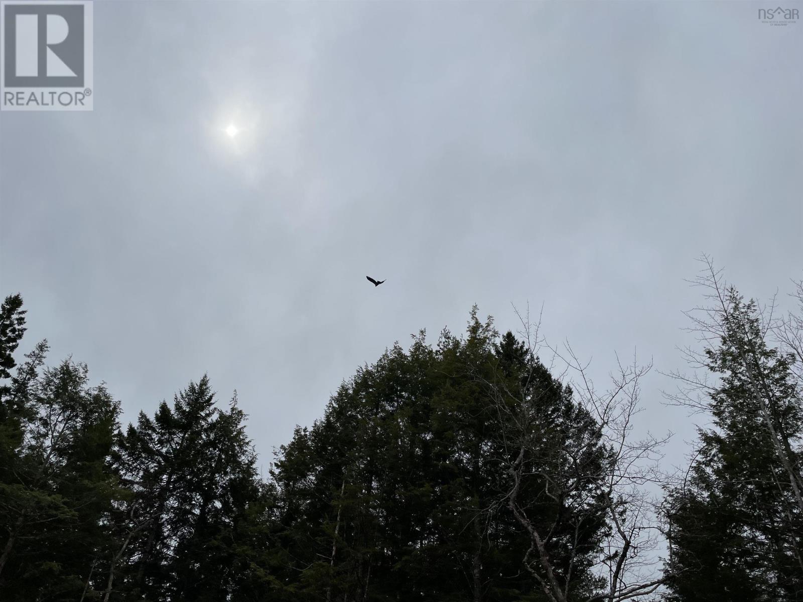 Lot Huber Road, Pid#60301066, Camperdown, Nova Scotia  B4V 6T6 - Photo 21 - 202405945