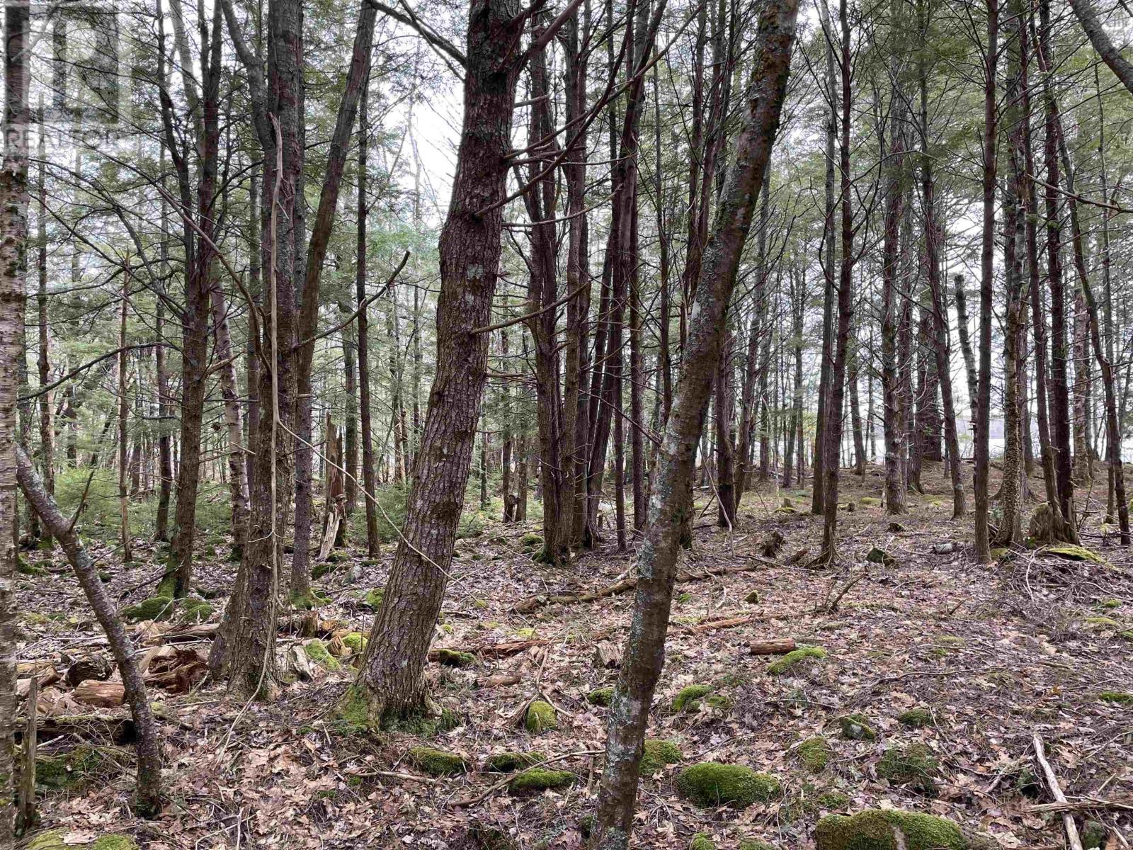 Lot 5-23 Huber Road, Camperdown, Nova Scotia  B4V 6T6 - Photo 17 - 202405959