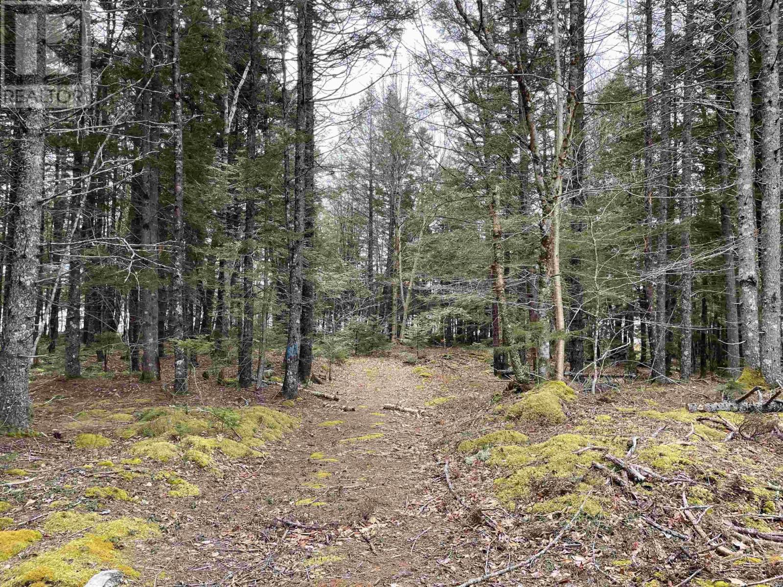 Lot 5-23 Huber Road, Camperdown, Nova Scotia  B4V 6T6 - Photo 20 - 202405959