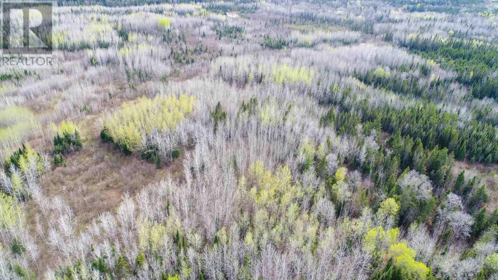 N1/2 Lt 9 Con 1, Pacaud Township, Ontario  P0J 1H0 - Photo 10 - TM240594