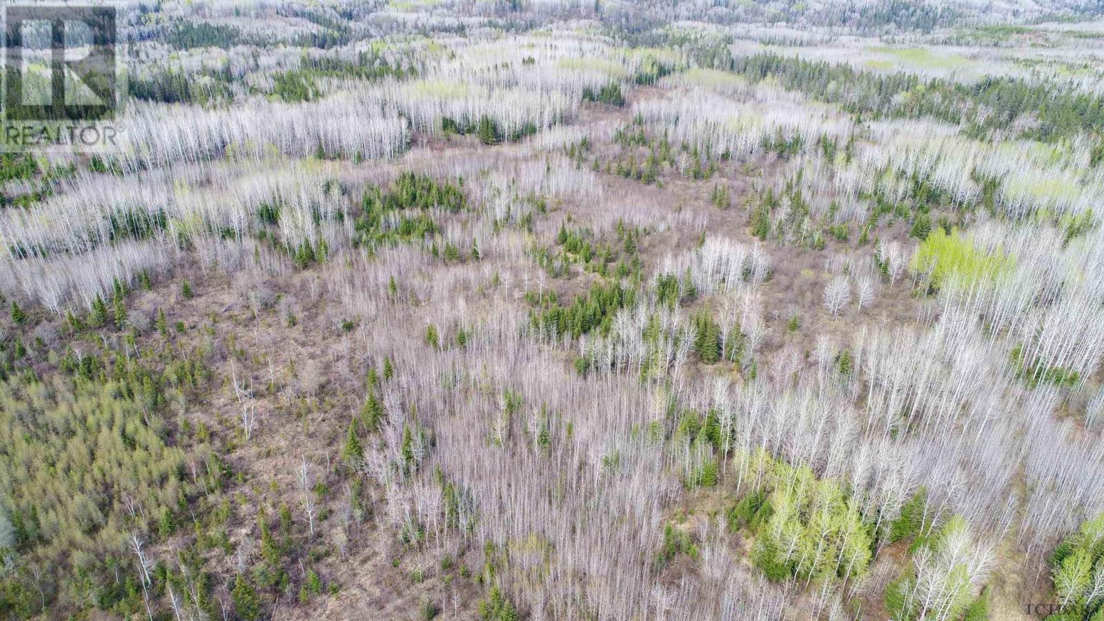 N1/2 Lt 9 Con 1, Pacaud Township, Ontario  P0J 1H0 - Photo 22 - TM240594