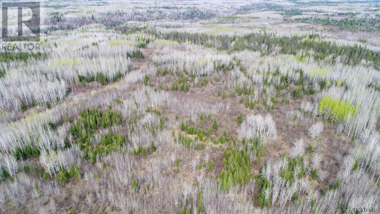 N1/2 Lt 9 Con 1, Pacaud Township, Ontario  P0J 1H0 - Photo 23 - TM240594