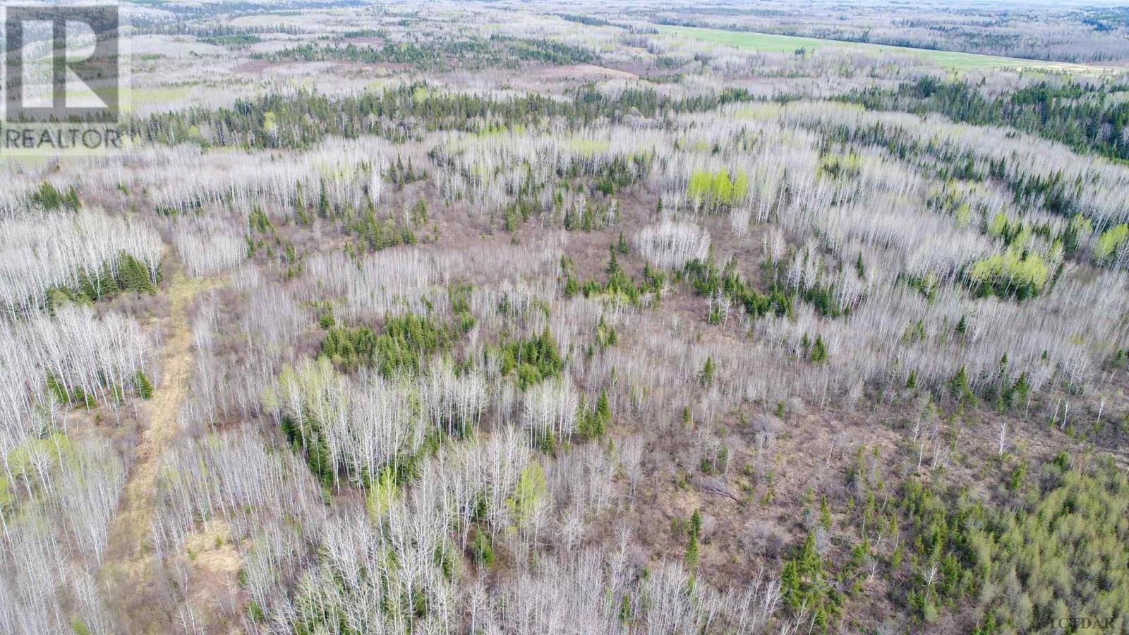 N1/2 Lt 9 Con 1, Pacaud Township, Ontario  P0J 1H0 - Photo 24 - TM240594