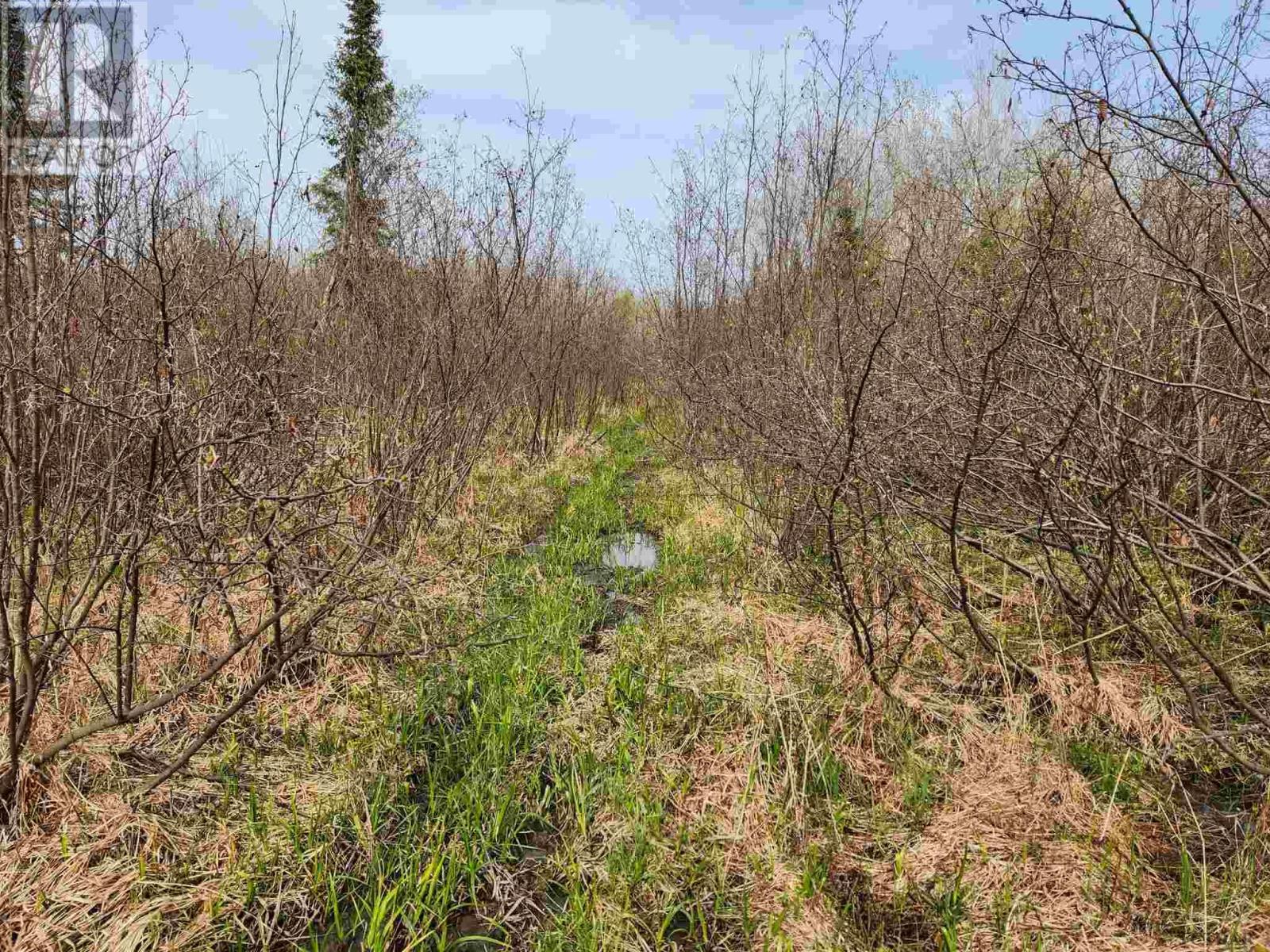 N1/2 Lt 9 Con 1, Pacaud Township, Ontario  P0J 1H0 - Photo 30 - TM240594