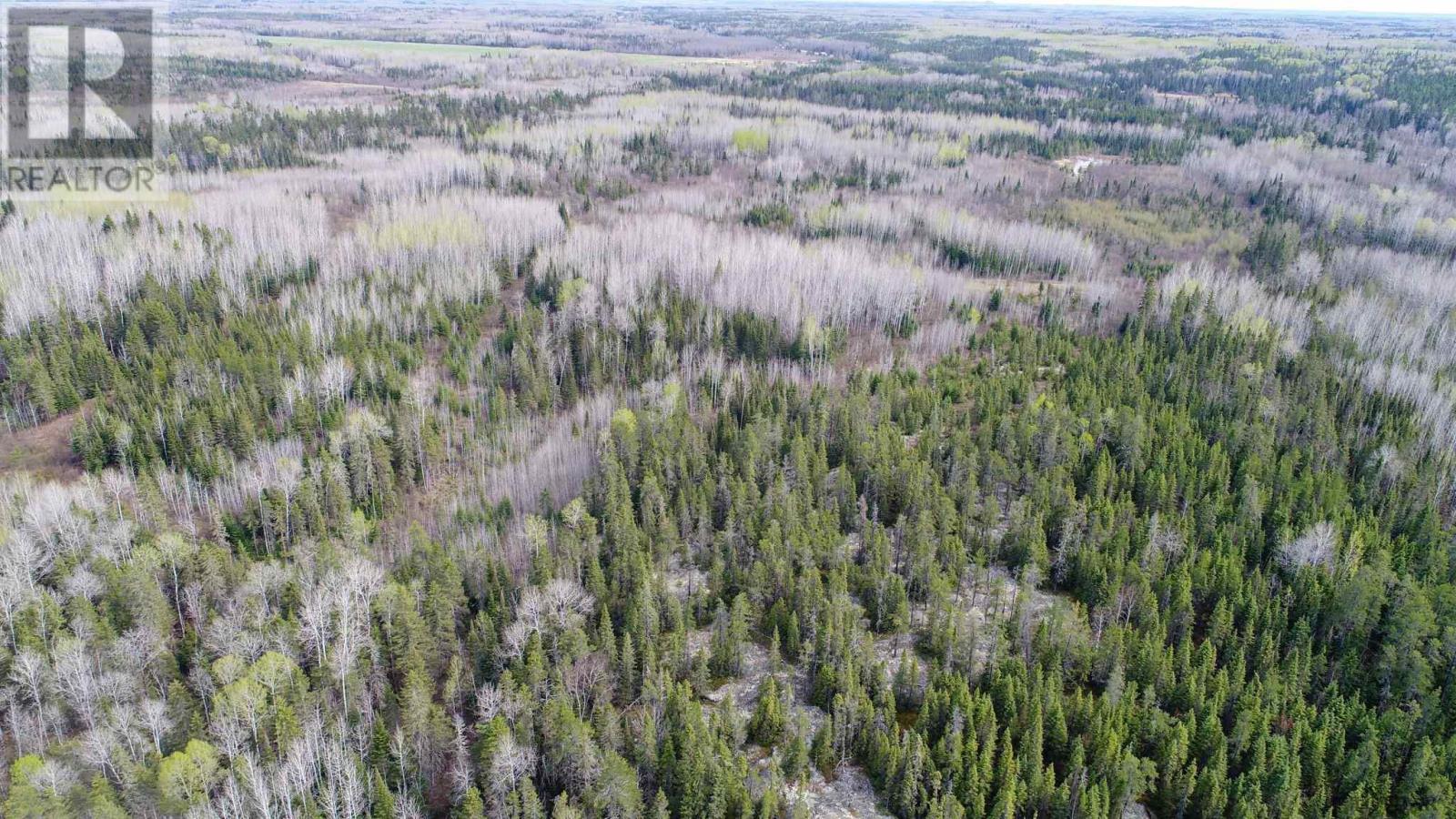 N1/2 Lt 9 Con 1, Pacaud Township, Ontario  P0J 1H0 - Photo 6 - TM240594