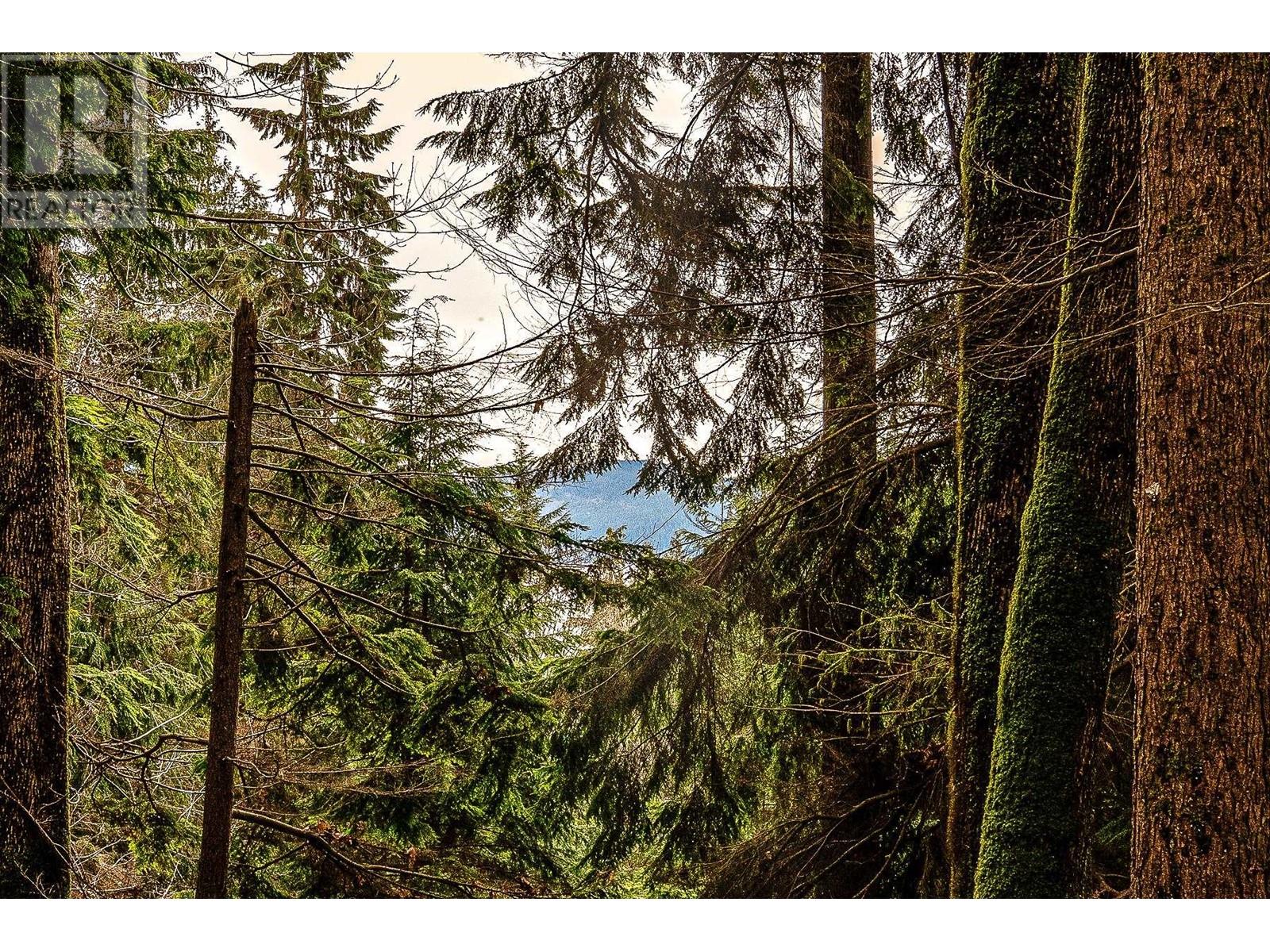Blk74 Lot1297-Pln2848 West Bay Road, Gambier Island, British Columbia  V0N 1V0 - Photo 10 - R2865507