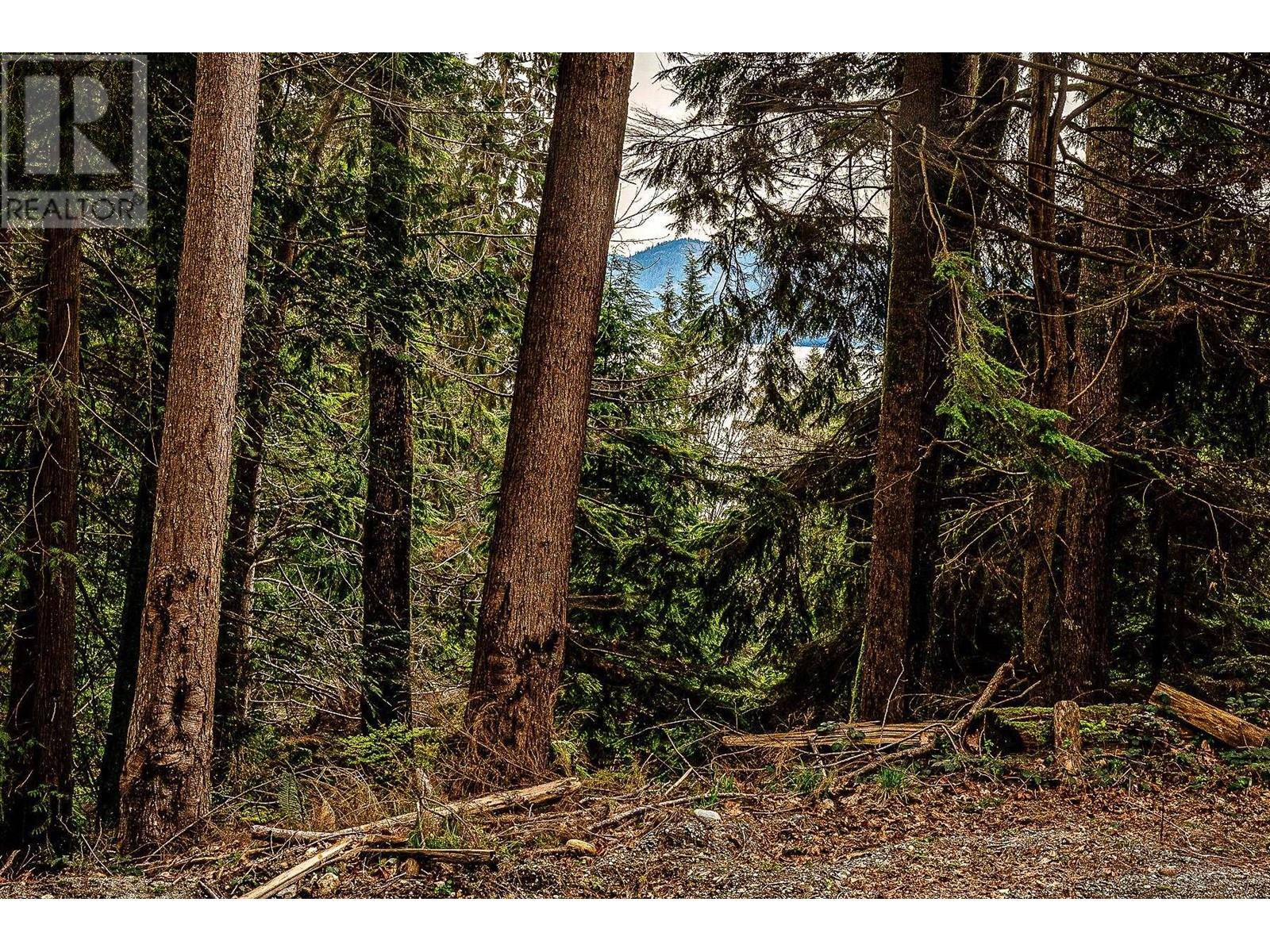 Blk74 Lot1297-Pln2848 West Bay Road, Gambier Island, British Columbia  V0N 1V0 - Photo 11 - R2865507