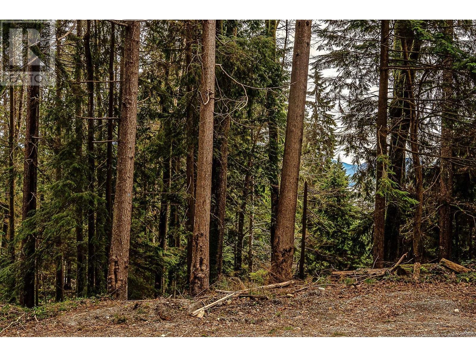 Blk74 Lot1297-Pln2848 West Bay Road, Gambier Island, British Columbia  V0N 1V0 - Photo 12 - R2865507