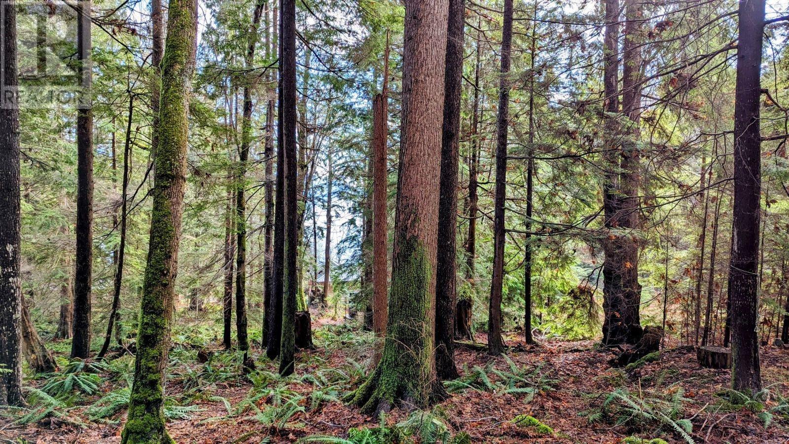 Blk74 Lot1297-Pln2848 West Bay Road, Gambier Island, British Columbia  V0N 1V0 - Photo 4 - R2865507