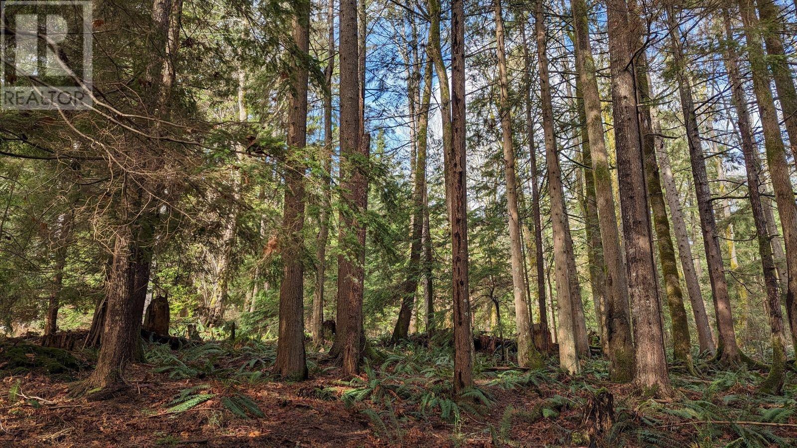 Blk74 Lot1297-Pln2848 West Bay Road, Gambier Island, British Columbia  V0N 1V0 - Photo 6 - R2865507