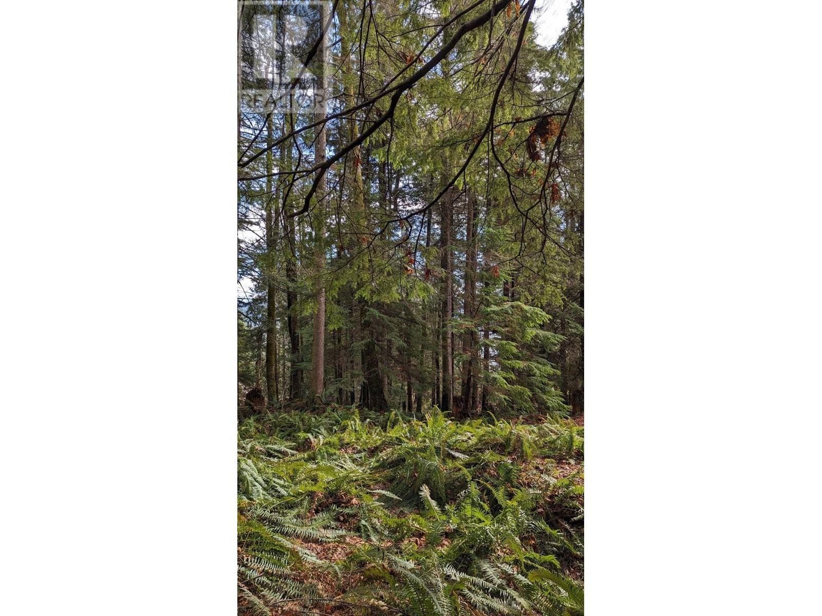 Blk74 Lot1297-Pln2848 West Bay Road, Gambier Island, British Columbia  V0N 1V0 - Photo 7 - R2865507