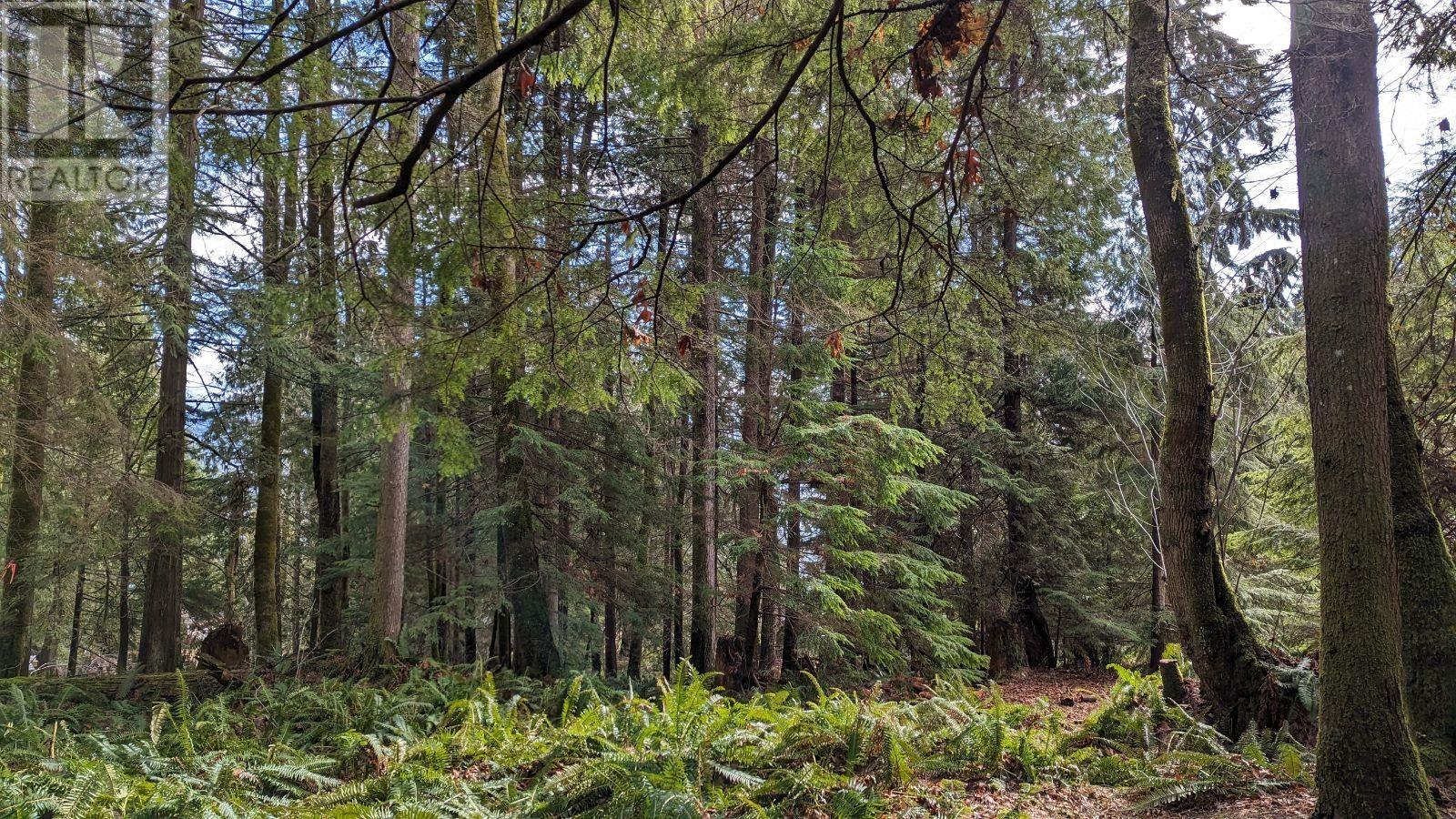 Blk74 Lot1297-Pln2848 West Bay Road, Gambier Island, British Columbia  V0N 1V0 - Photo 8 - R2865507