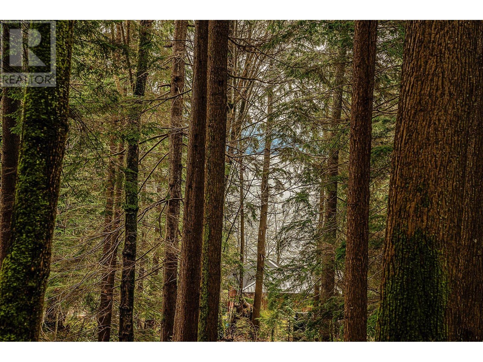 Blk74 Lot1297-Pln2848 West Bay Road, Gambier Island, British Columbia  V0N 1V0 - Photo 9 - R2865507