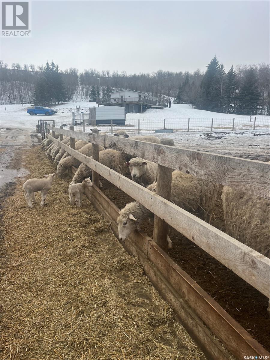 Kaposvar Creek Sheep Farm, Spy Hill Rm No. 152, Saskatchewan  S0A 4B0 - Photo 2 - SK951861