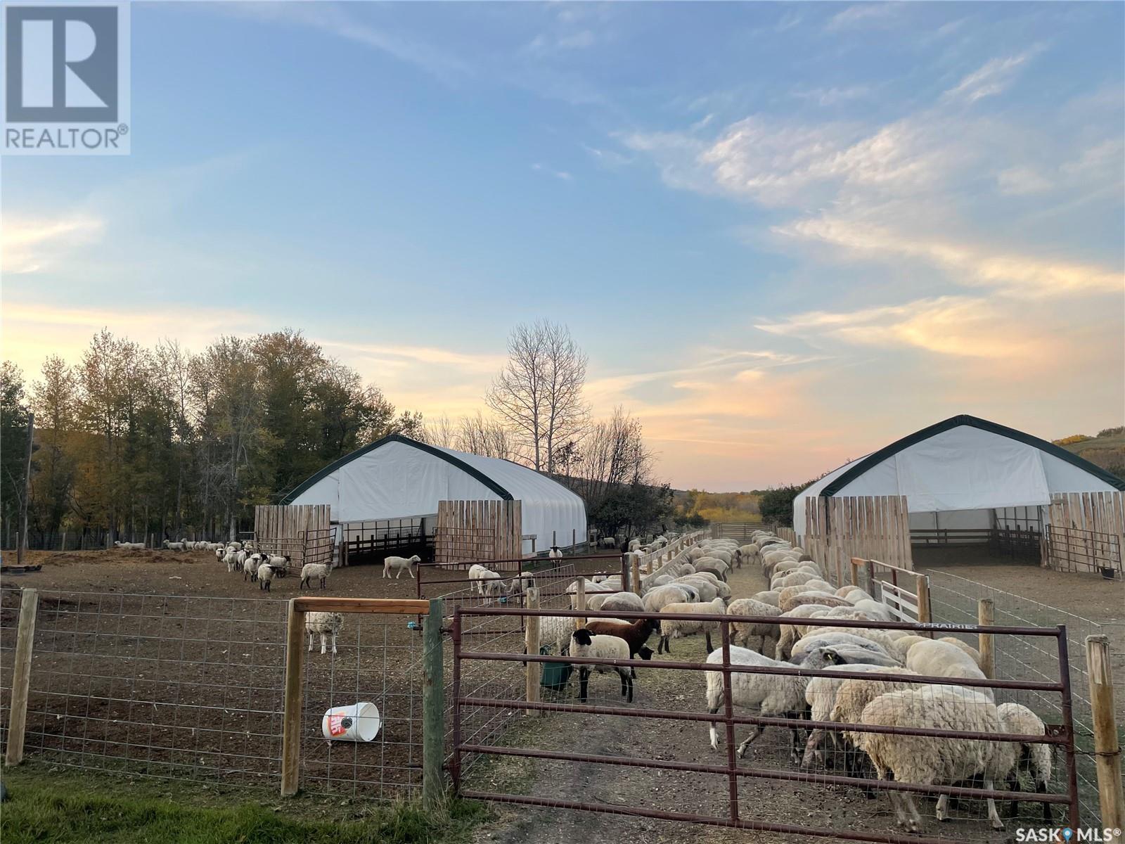 Kaposvar Creek Sheep Farm, Spy Hill Rm No. 152, Saskatchewan  S0A 4B0 - Photo 6 - SK951861