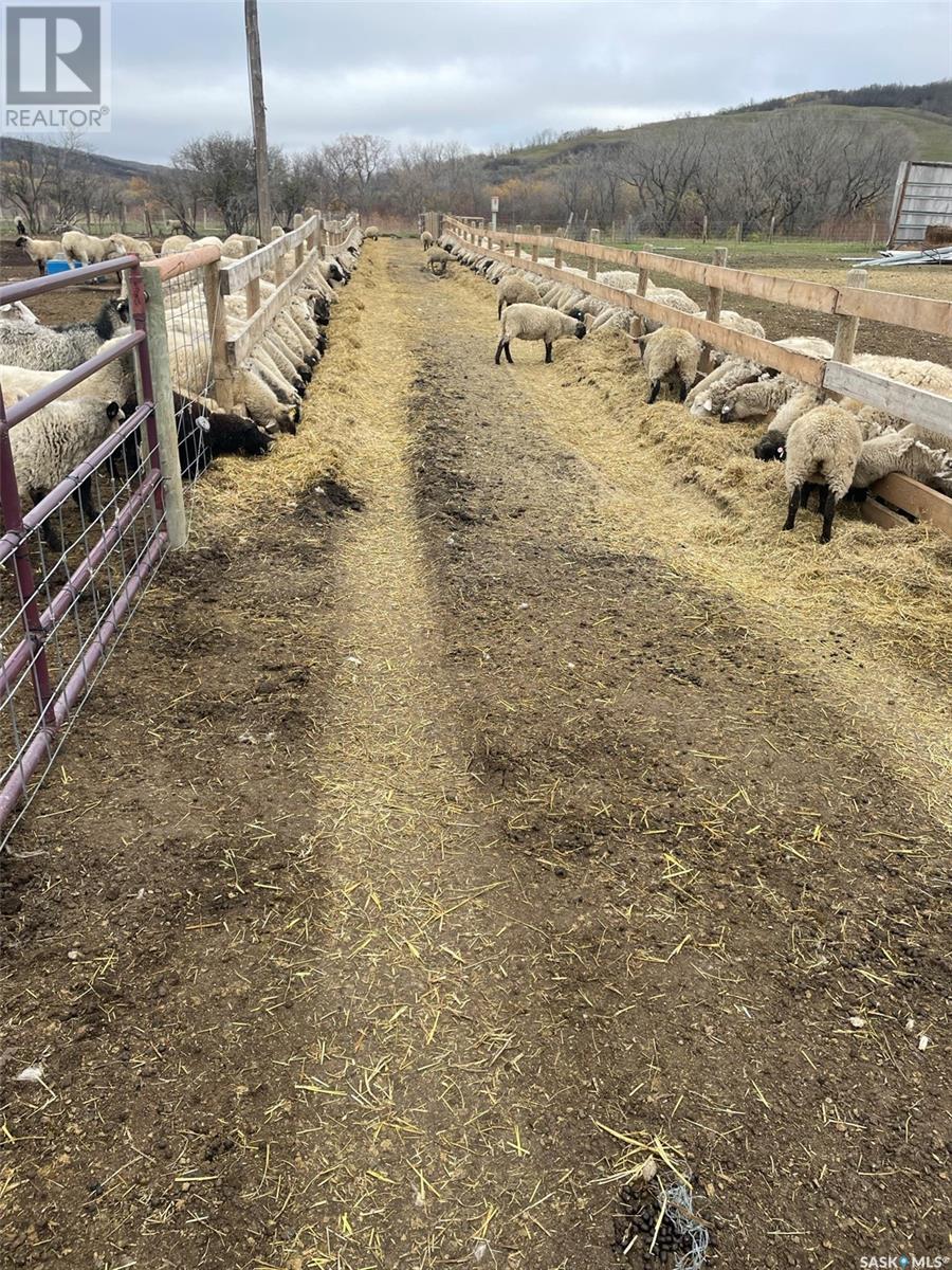 Kaposvar Creek Sheep Farm, Spy Hill Rm No. 152, Saskatchewan  S0A 4B0 - Photo 4 - SK951861