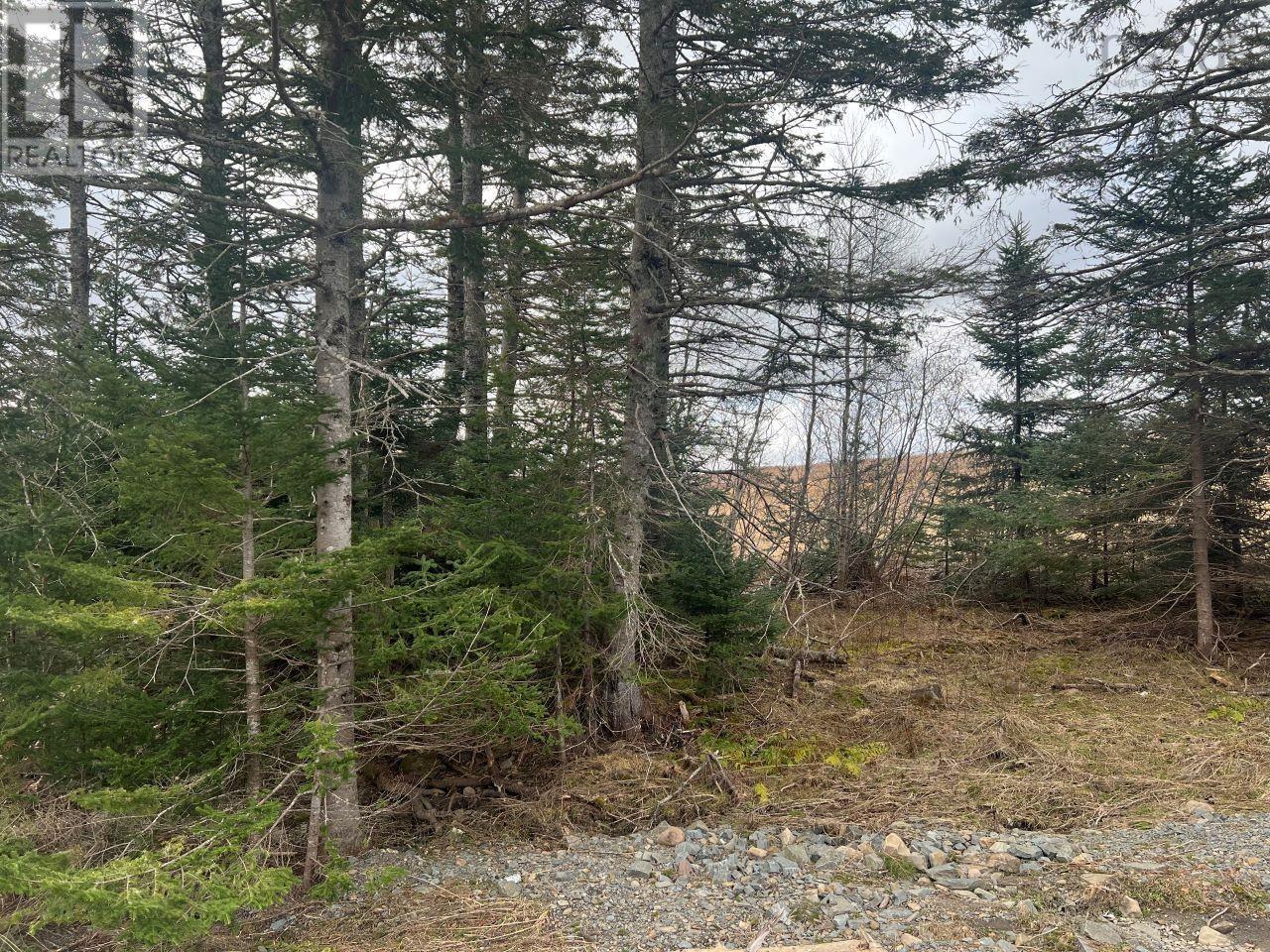 T-32 Elliott Road, South Rawdon, Nova Scotia  B0N 1Z0 - Photo 2 - 202405981