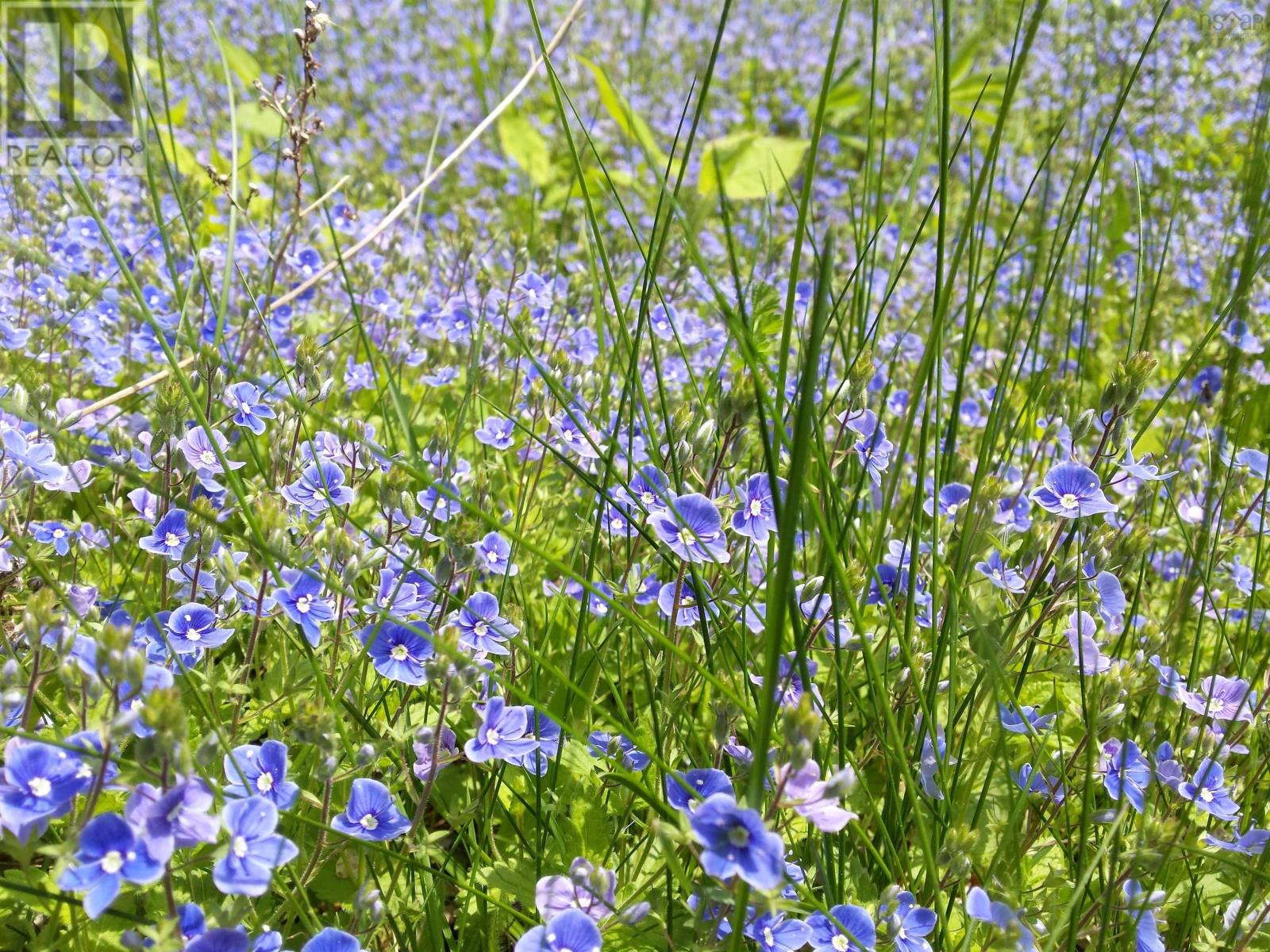 540 Ben Phinney Road, Forest Glade, Nova Scotia  B0P 1R0 - Photo 35 - 202405964