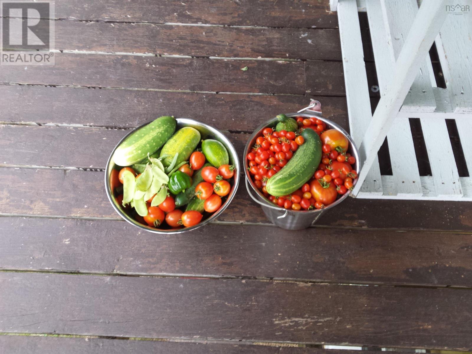 540 Ben Phinney Road, Forest Glade, Nova Scotia  B0P 1R0 - Photo 36 - 202405964