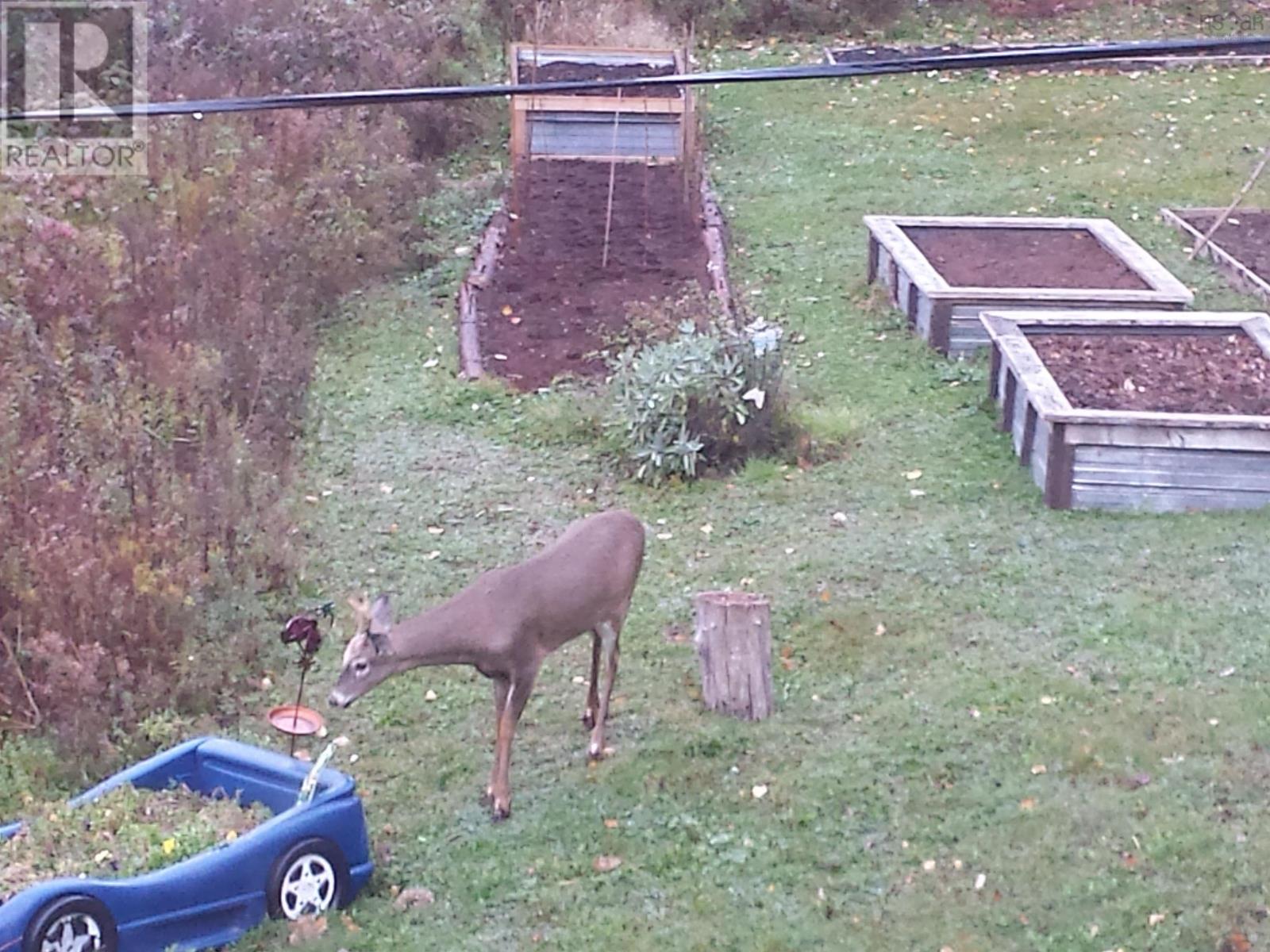 540 Ben Phinney Road, Forest Glade, Nova Scotia  B0P 1R0 - Photo 37 - 202405964