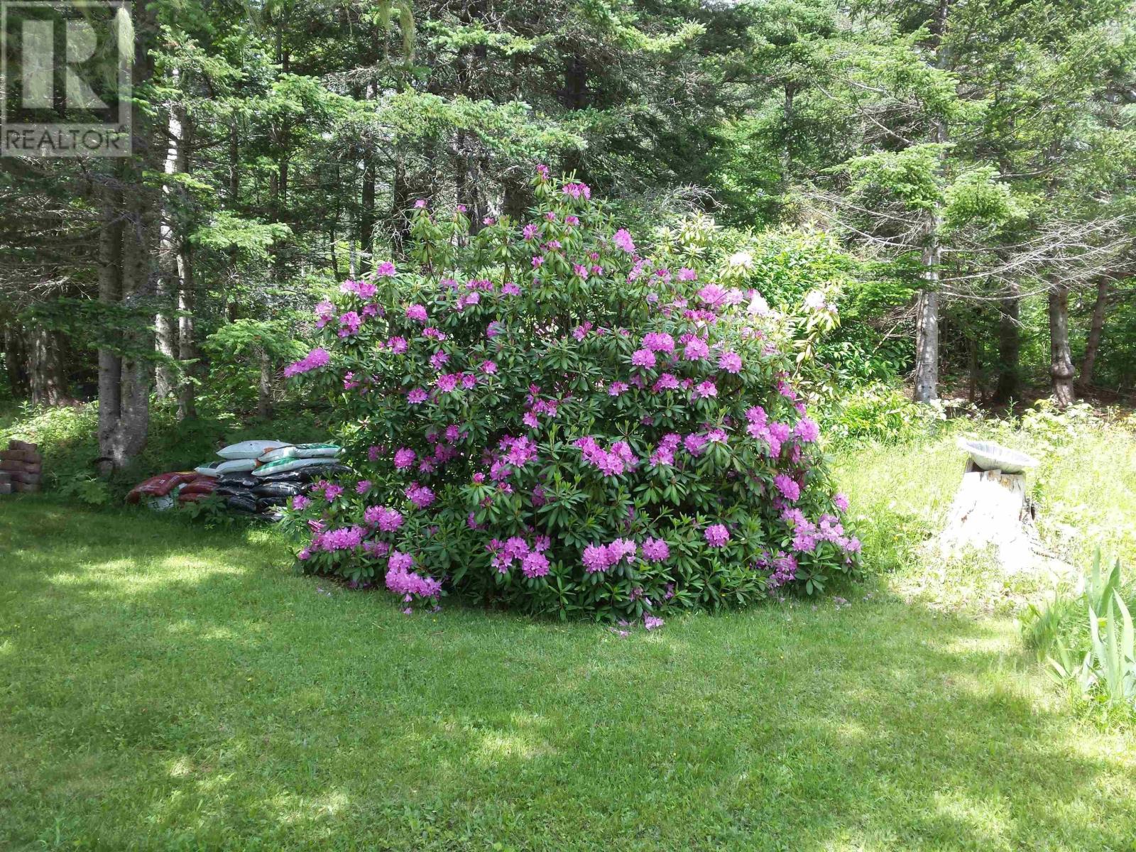 540 Ben Phinney Road, Forest Glade, Nova Scotia  B0P 1R0 - Photo 38 - 202405964