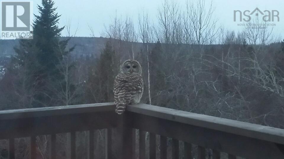 540 Ben Phinney Road, Forest Glade, Nova Scotia  B0P 1R0 - Photo 43 - 202405964