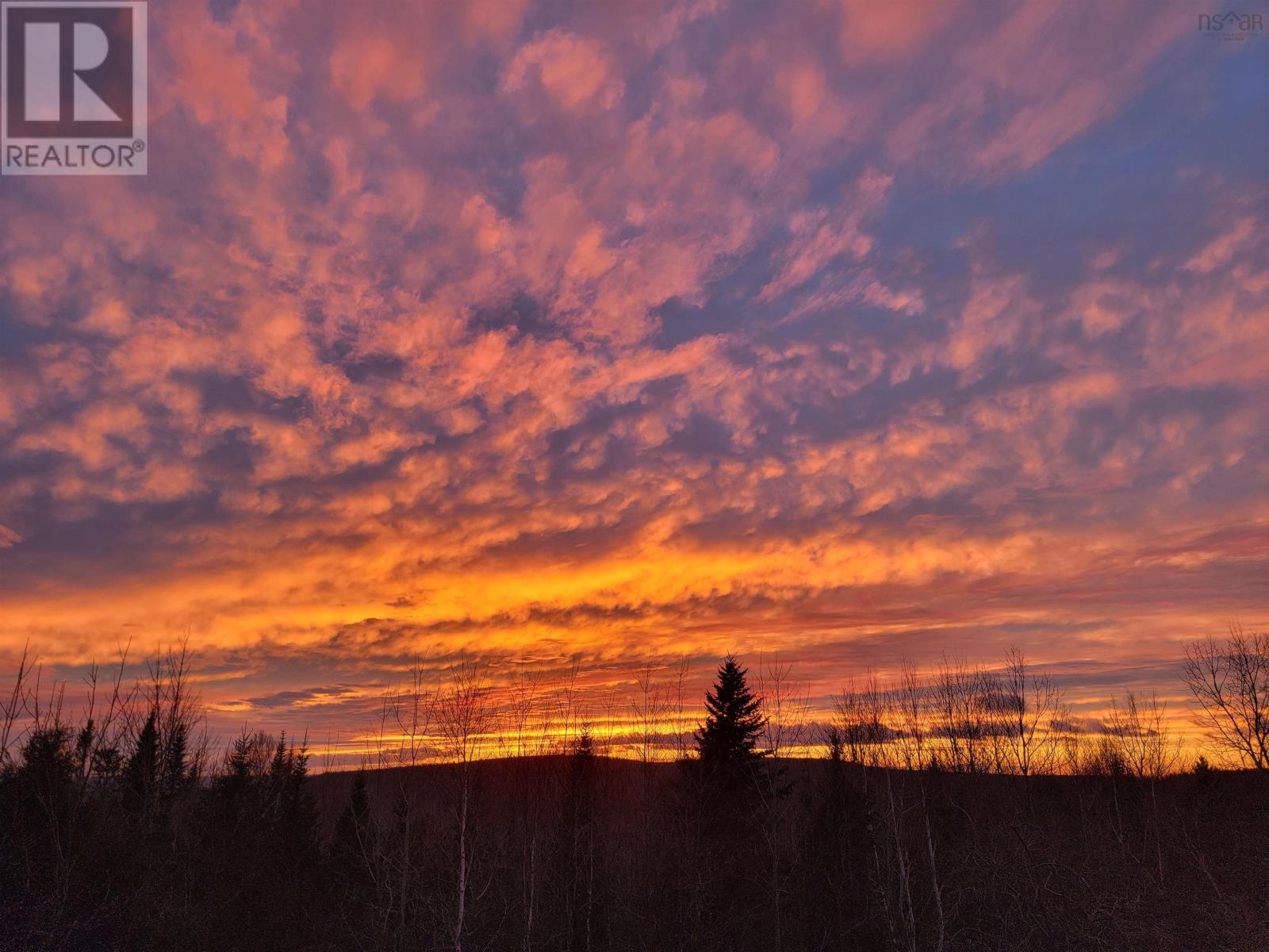 540 Ben Phinney Road, Forest Glade, Nova Scotia  B0P 1R0 - Photo 45 - 202405964