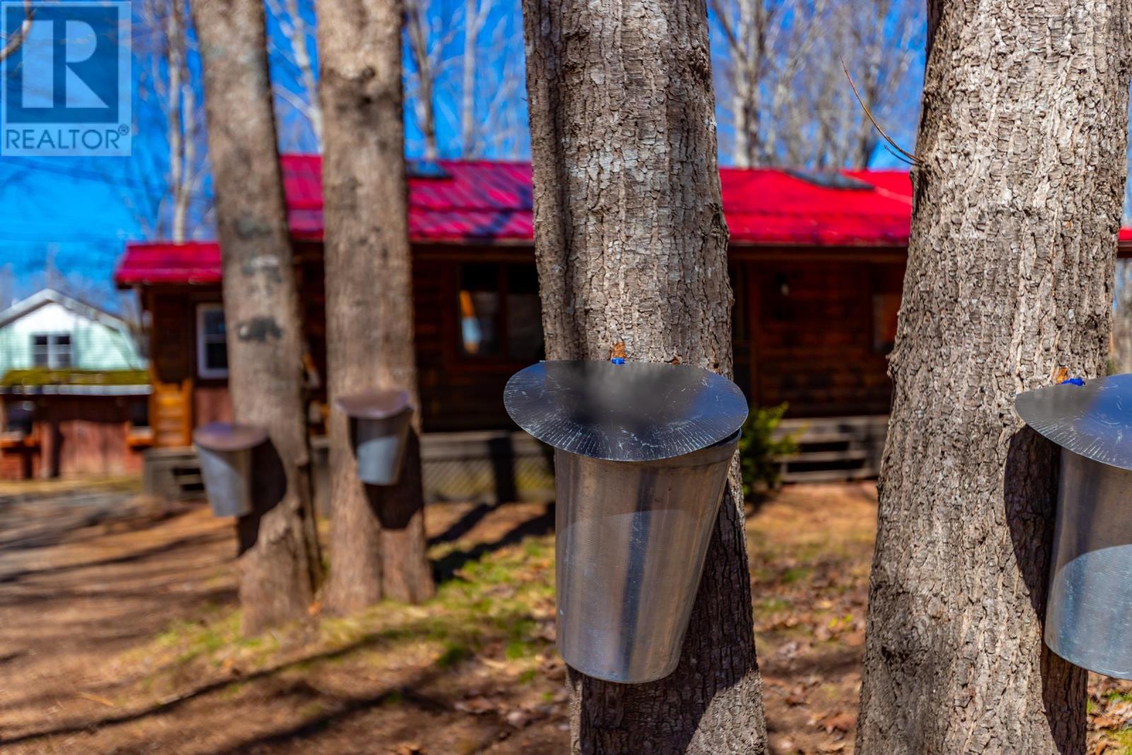 63 Empire Street, Wilmot, Nova Scotia  B0P 1W0 - Photo 3 - 202405993