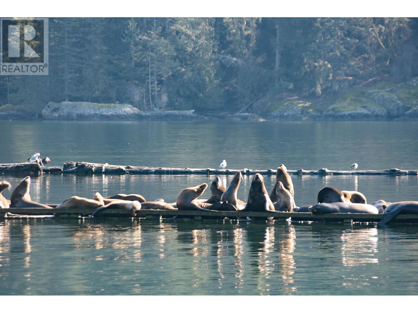 Lot 28 West Bay Landing, Gambier Island, British Columbia  V0V 1V0 - Photo 37 - R2865609