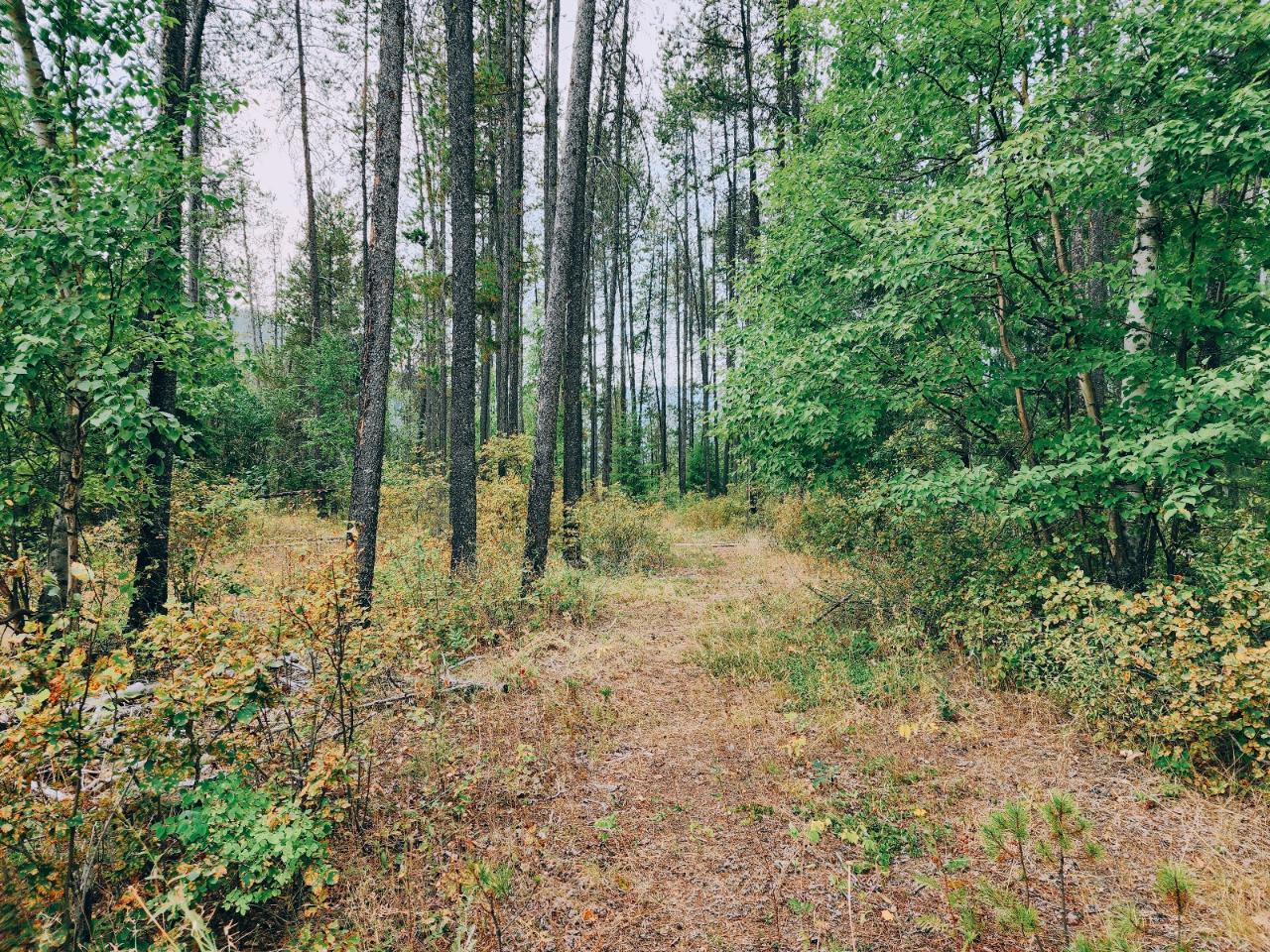 8420 Highway 3/95, Arrow Creek To Yahk, British Columbia  V0B 2P0 - Photo 2 - 2475866