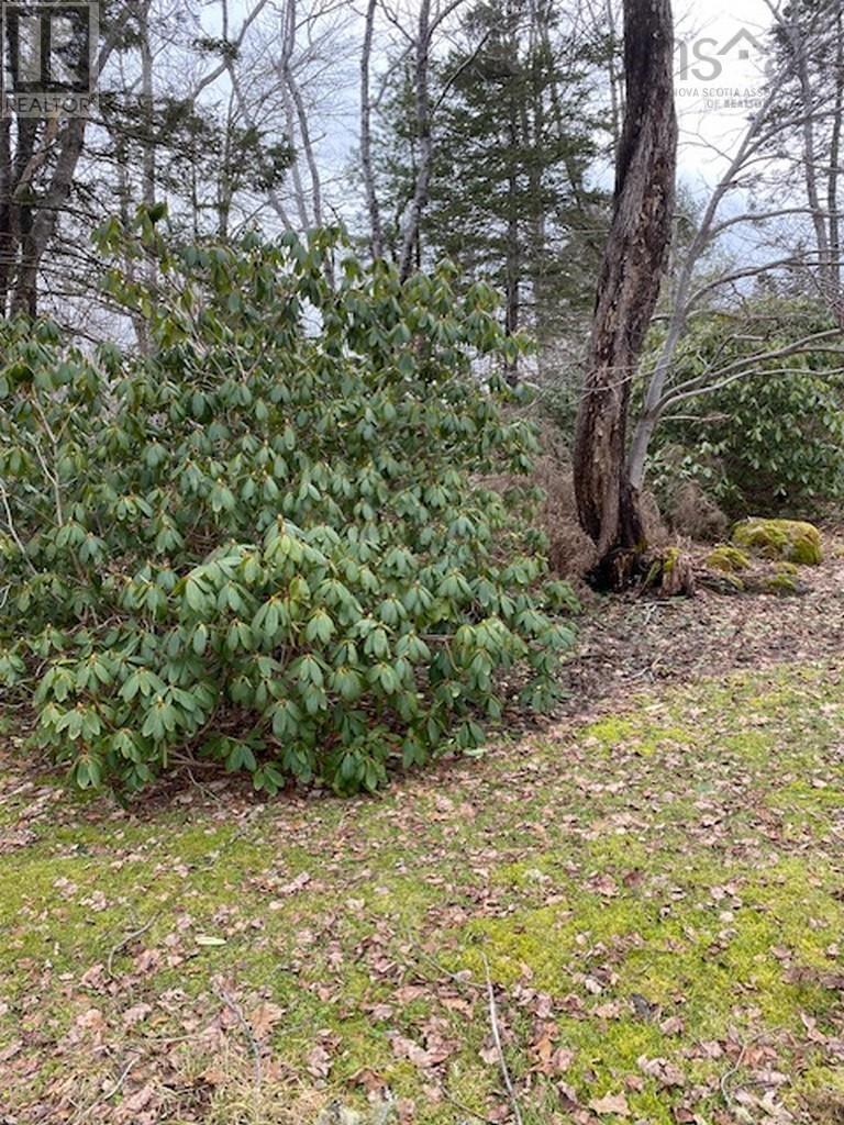 18 Station Road, Hubbards, Nova Scotia  B0J 1T0 - Photo 1 - 202405805