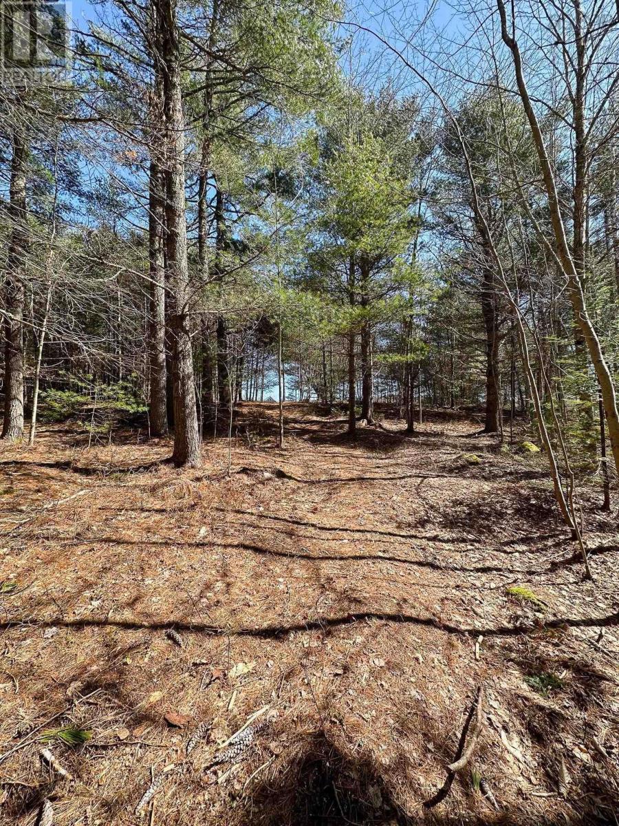 59 Wentzell Road, Baker Settlement, Nova Scotia  B4V 7J5 - Photo 29 - 202406023