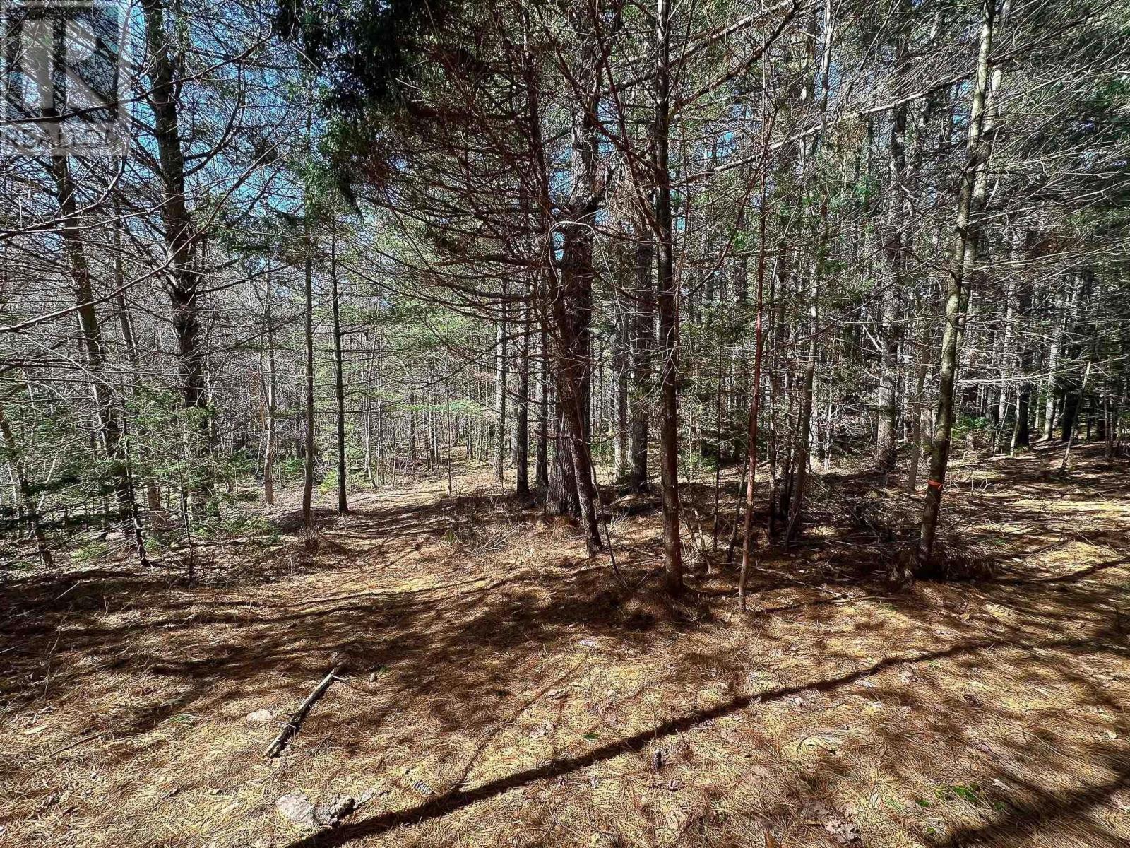 59 Wentzell Road, Baker Settlement, Nova Scotia  B4V 7J5 - Photo 30 - 202406023