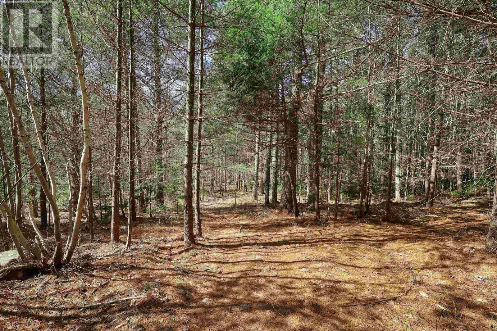 59 Wentzell Road, Baker Settlement, Nova Scotia  B4V 7J5 - Photo 31 - 202406023