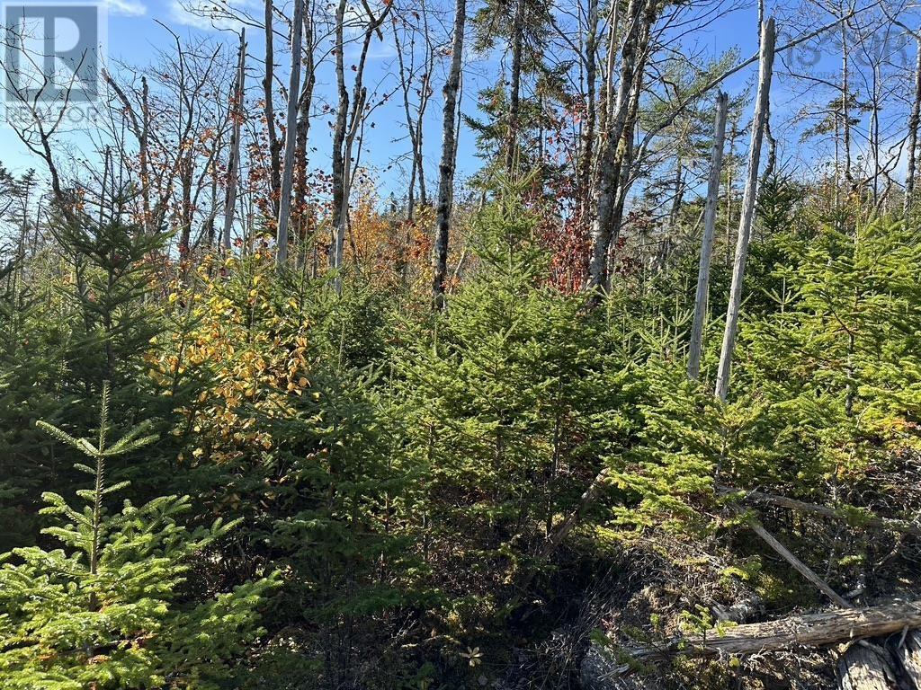 15189 Navy Pool Jeddore Oyster Pond, Ns, Oyster Pond, Nova Scotia  B0J 2L0 - Photo 28 - 202406040