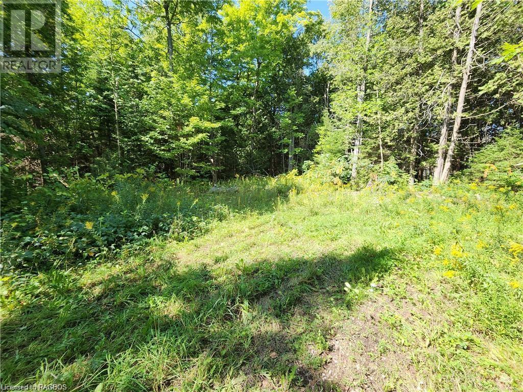 37 Whippoorwill Road, Northern Bruce Peninsula, Ontario  N0H 1W0 - Photo 11 - 40565407