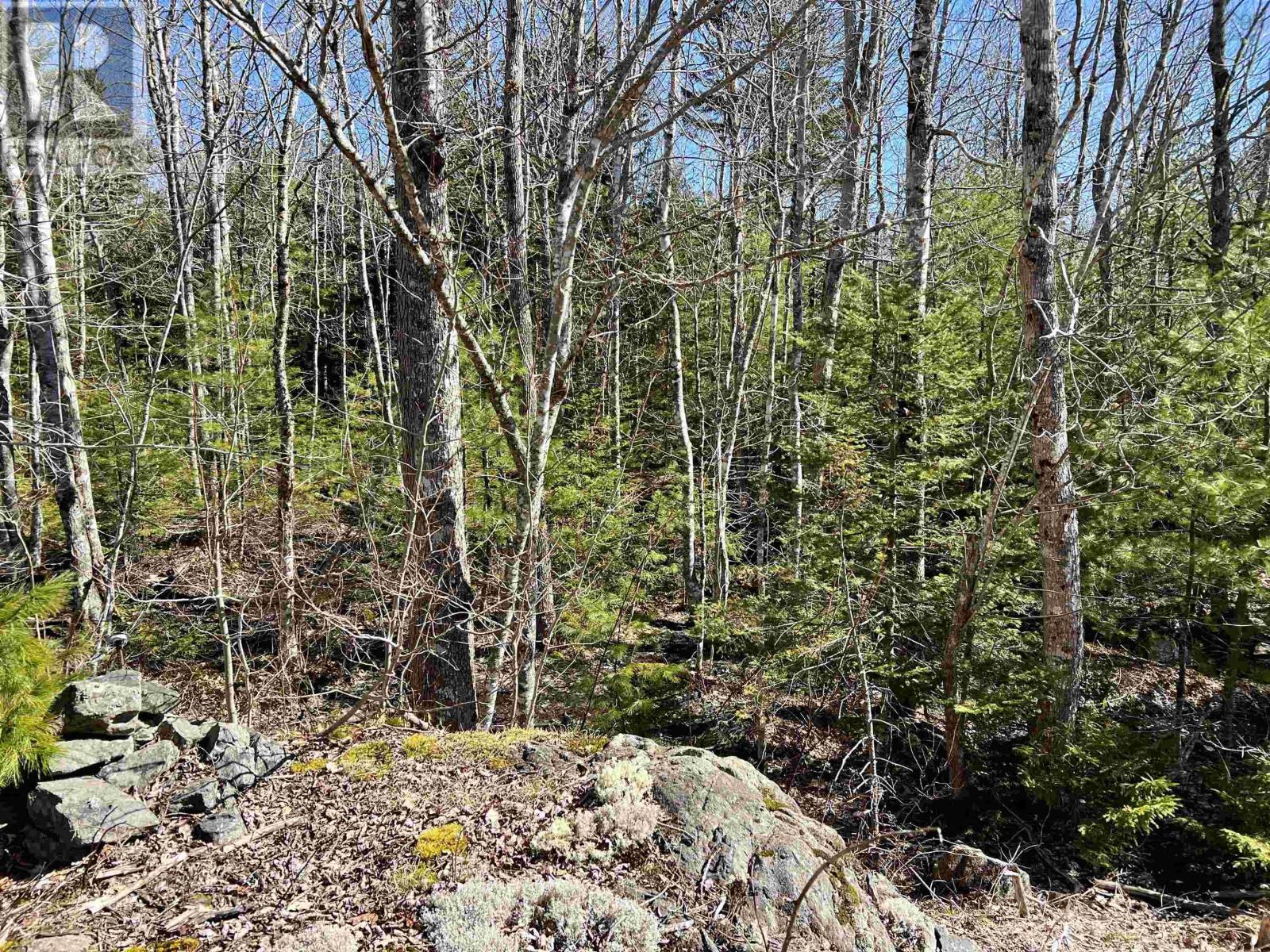 Lot 71 Snowy Owl Trail, Vaughan, Nova Scotia  B0N 2T0 - Photo 10 - 202406047