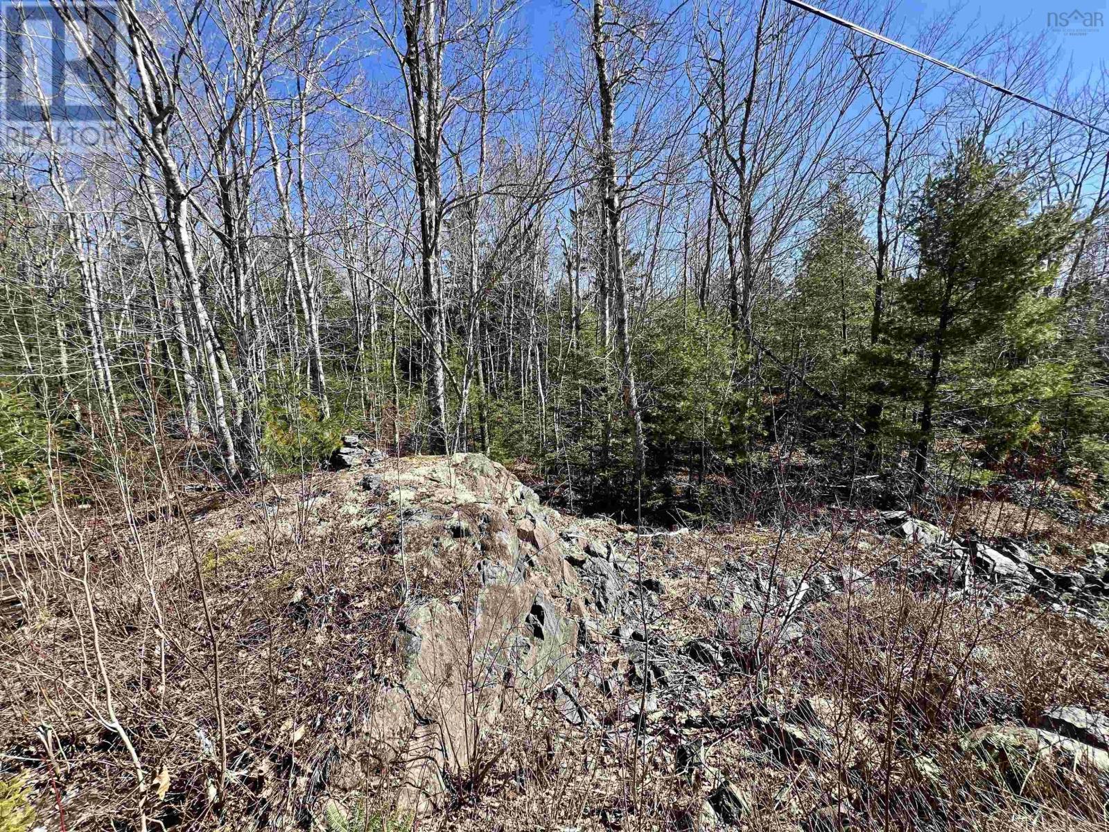 Lot 71 Snowy Owl Trail, Vaughan, Nova Scotia  B0N 2T0 - Photo 9 - 202406047