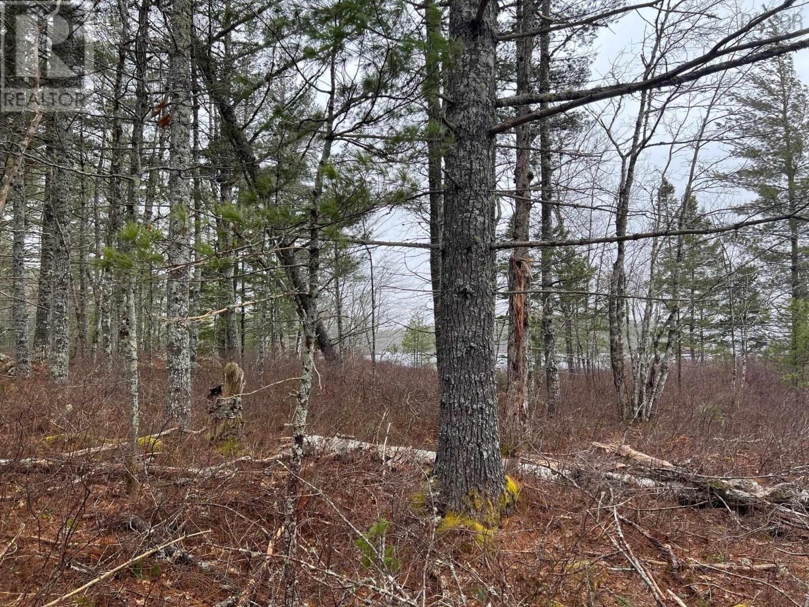 Lot 3 Harbour Acres Road, Molega, Nova Scotia  B0T 1E0 - Photo 14 - 202405905