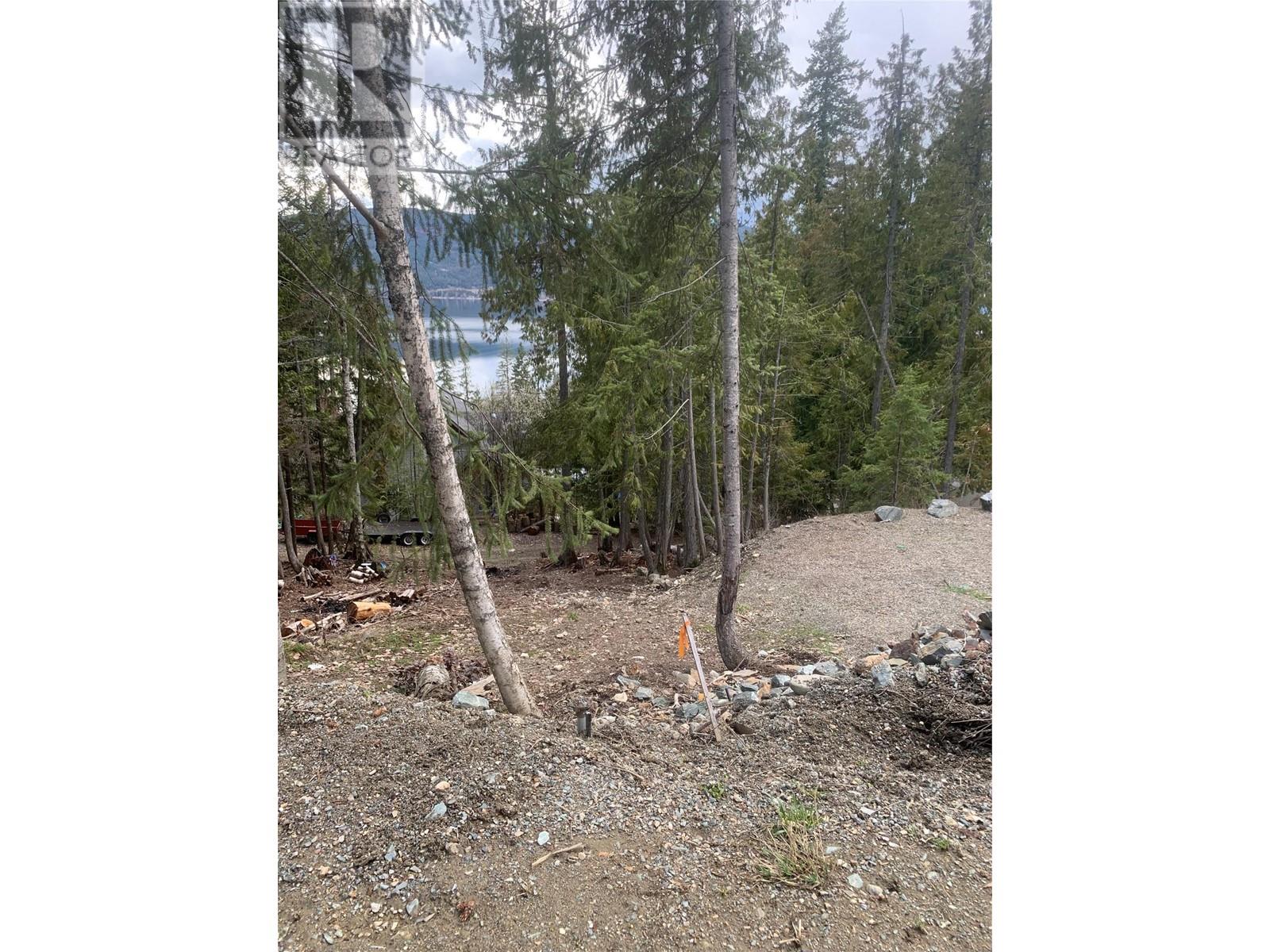 Lot 41 Klondike Trail, Anglemont, British Columbia  V0E 1M8 - Photo 4 - 10308585
